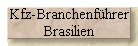 Kfz-Branchenfhrer 
 Brasilien